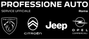 Logo Professione Auto Srl